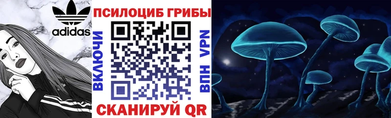 купить наркотик  Коммунар  Псилоцибиновые грибы MAGIC MUSHROOMS 